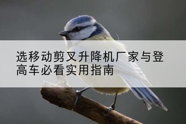 靖宇电动升降机厂家-选移动剪叉升降机厂家与登高车必看实用指南