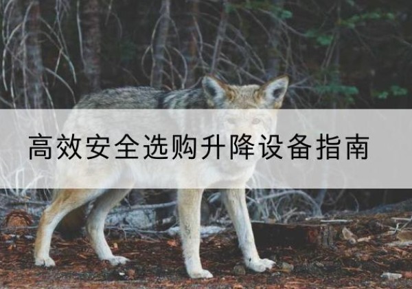 靖宇升降货梯厂家推荐-*安全选购升降设备指南