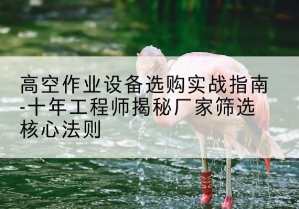 靖宇剪叉式升降机厂家-高空作业设备选购实战指南-十年工程师揭秘厂家筛选核心法则